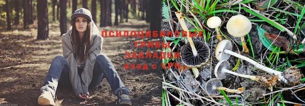 синтетический гашиш Заволжье