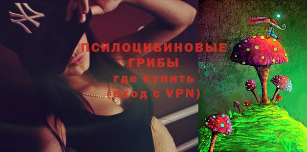 альфа пвп Заводоуковск