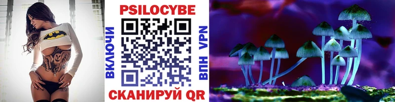 Галлюциногенные грибы Cubensis Камень-на-Оби