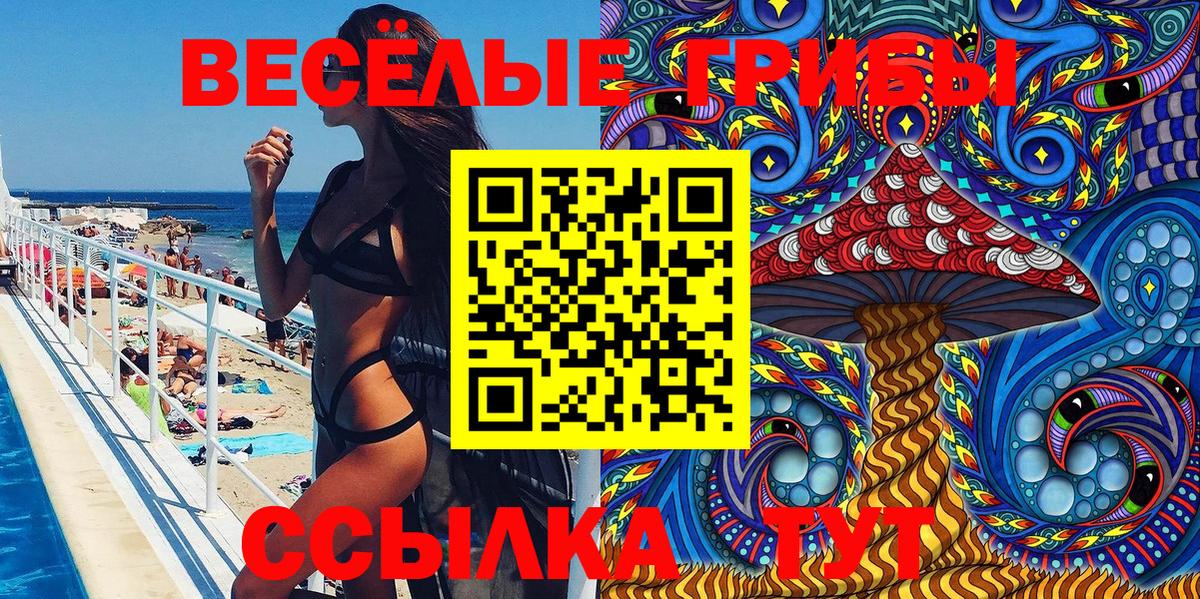 Псилоцибиновые грибы Cubensis Камень-на-Оби